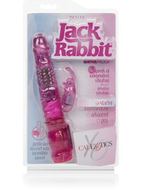 California Exotic: Petite Jack Rabbit, pink 