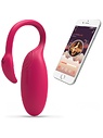 Flamingo Vibrator 