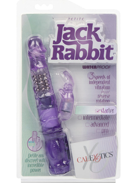 California Exotic: Petite Jack Rabbit, purple 