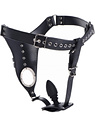 Male Chastity Harness