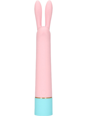 Loveline: Mini Rabbit Vibrator with USB Charger