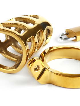 Mr Steel: Brutal Chastity Cage, gold