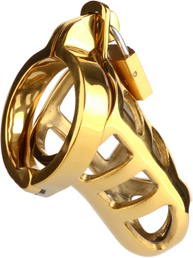 Mr Steel: Brutal Chastity Cage, gold