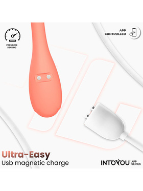 IntoYou: Kyra, Pelvic Floor Trainer with App