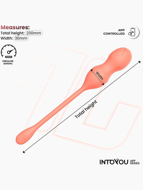 IntoYou: Kyra, Pelvic Floor Trainer with App