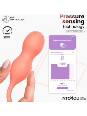 IntoYou: Kyra, Pelvic Floor Trainer with App