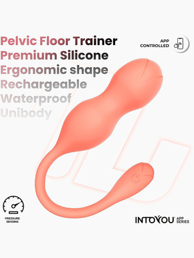 IntoYou: Kyra, Pelvic Floor Trainer with App