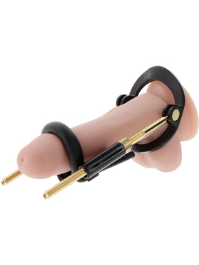 Hidden Desire: Fusion X, Penis Growth Training Basic Set