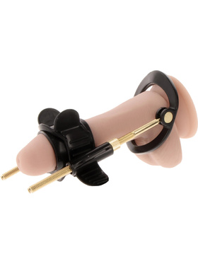 Hidden Desire: Fusion X, Penis Growth Training Comfort Set