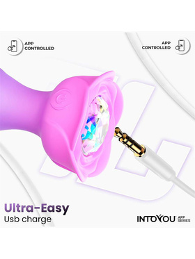 IntoYou: Moxy, Rotating Butt Plug with App