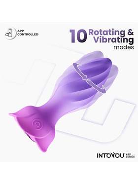 IntoYou: Moxy, Rotating Butt Plug with App