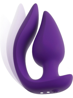 Sweet Smile: RC 2in1 Plug & Panty Vibe