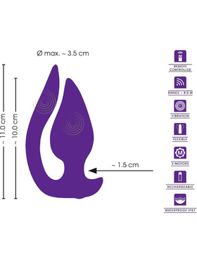 Sweet Smile: RC 2in1 Plug & Panty Vibe