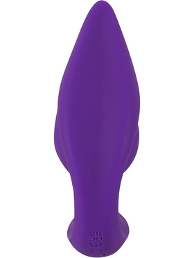 Sweet Smile: RC 2in1 Plug & Panty Vibe