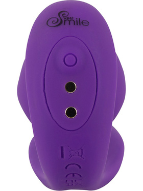 Sweet Smile: RC 2in1 Plug & Panty Vibe