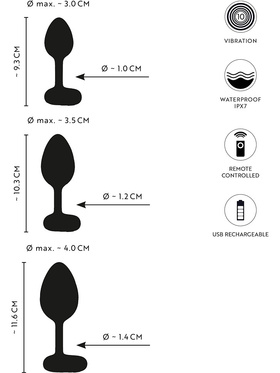Anos: RC Vibrating Butt Plug Training Set